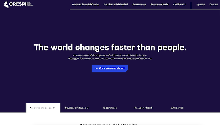 Realizzazione Siti Web Vetrina a Busto Arsizio